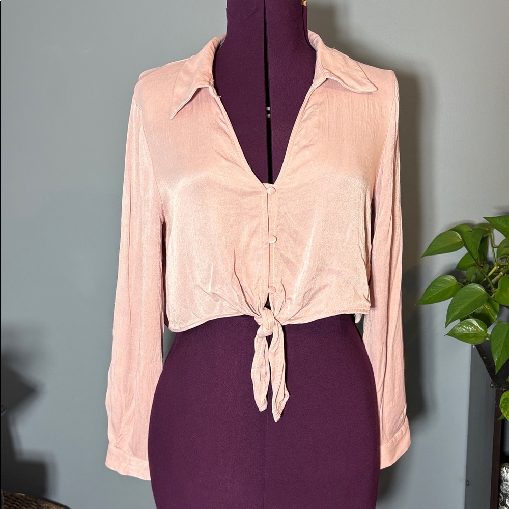 Zara Blush Pink Cropped Blouse